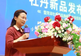 2019 菏泽牡丹园新品发布会视频